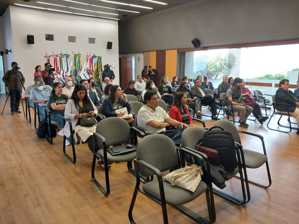 ¿Cómo se organiza MapBiomas Amazônia?